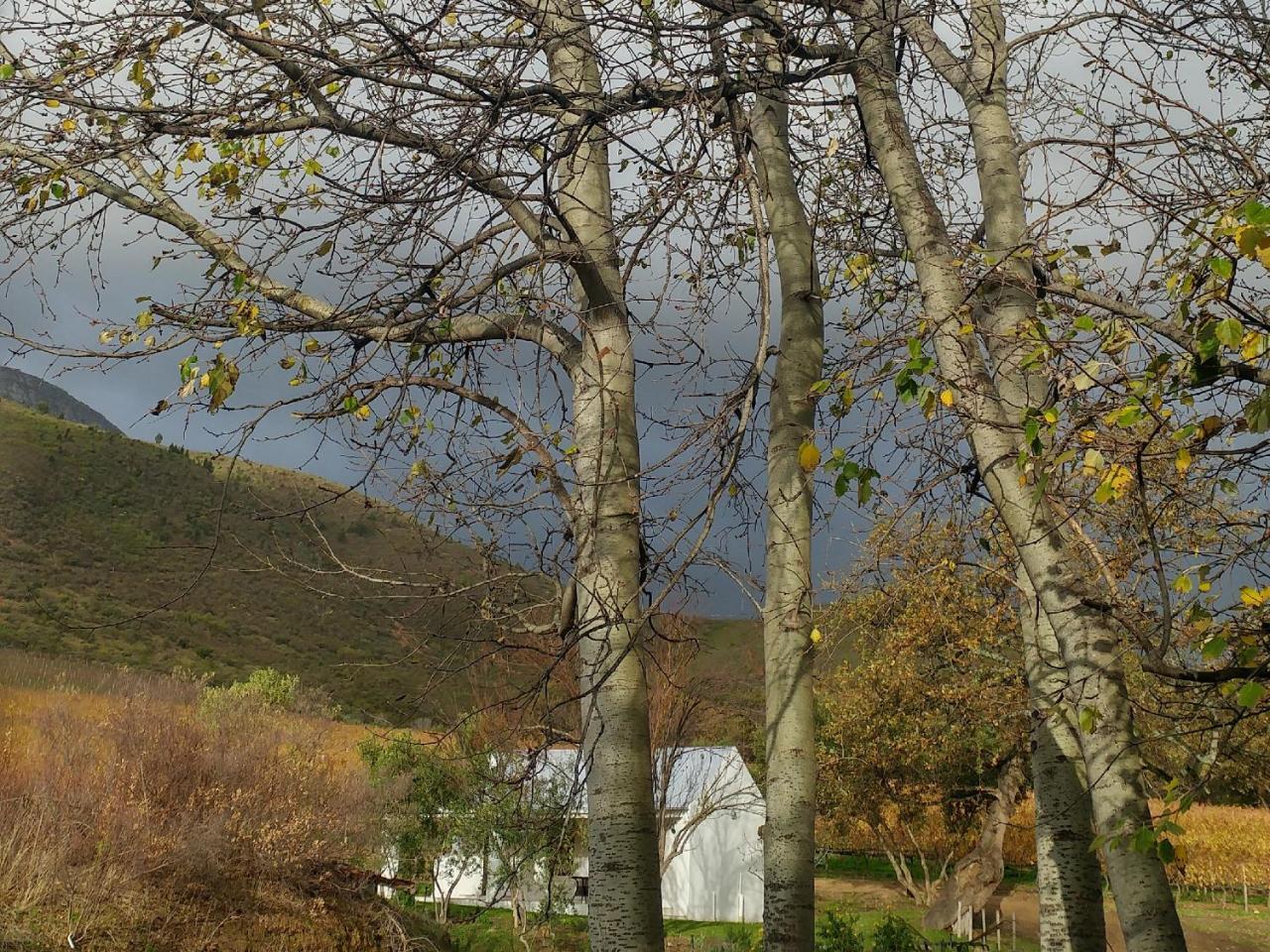Sonklip Hotel Stellenbosch Exterior photo